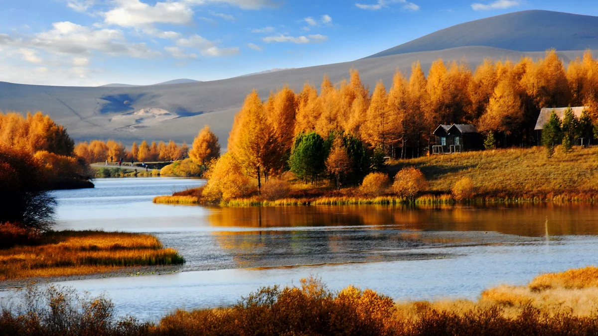 Autumn colors at Mulan Paddock — golden grasslands and forest