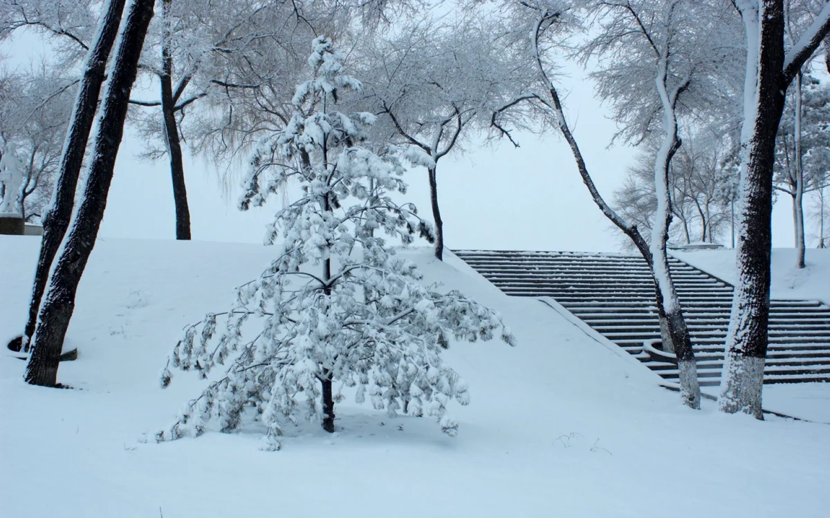 Harbin's serene winter beauty — pure magic!