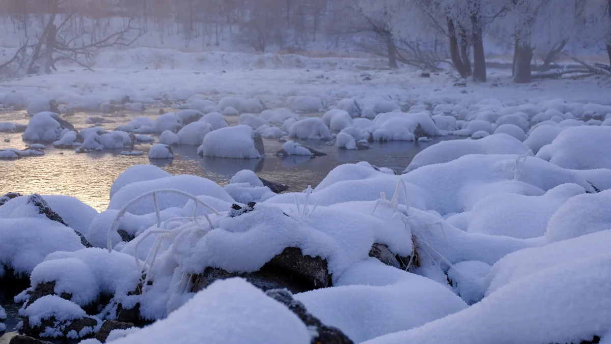 Arshan National Park winter snow scene
