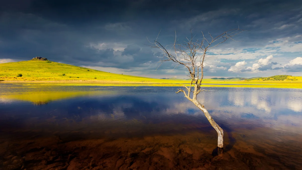 Wulanbutong grassland with autumn colors
