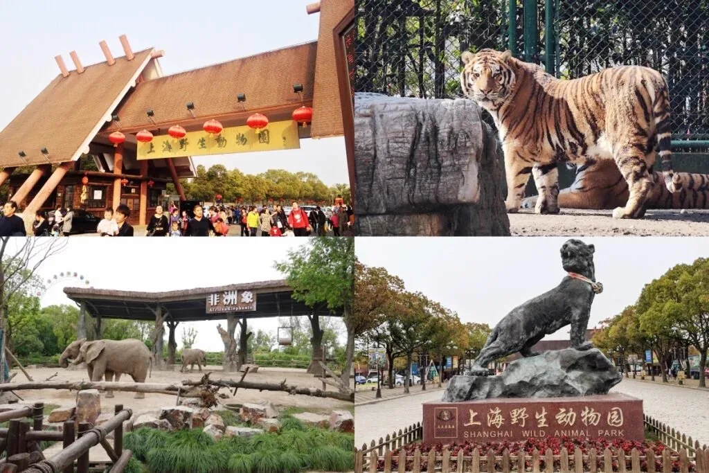 Shanghai Wild Animal Park