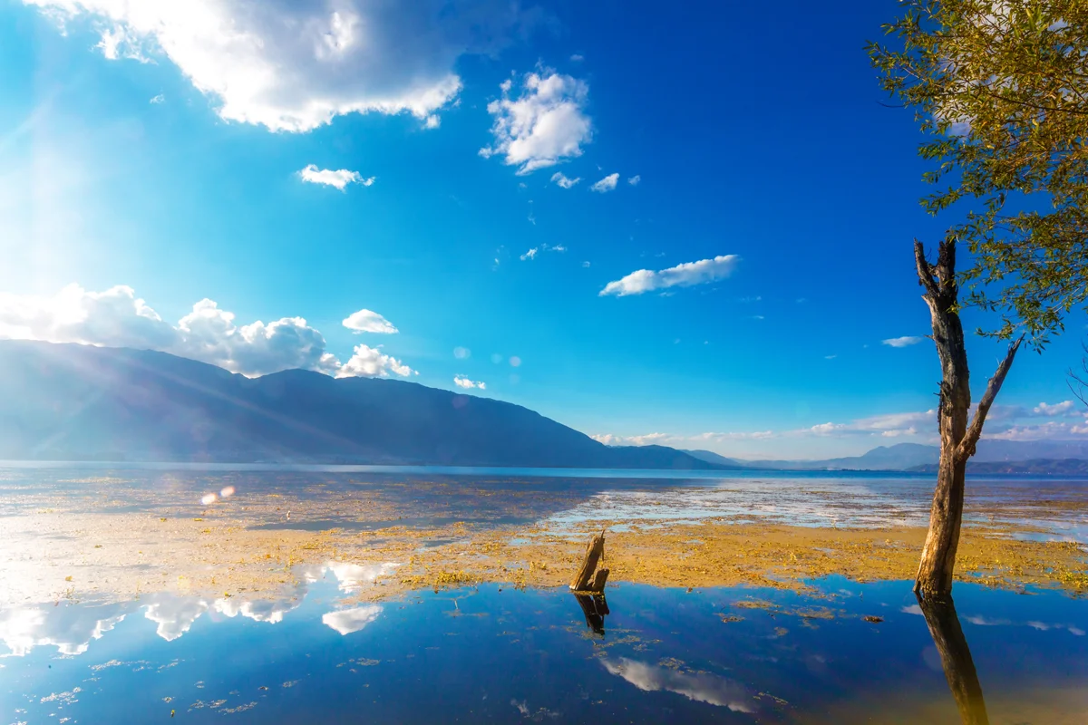 Shangri-La: Journey to Tibet's Lost Horizon
