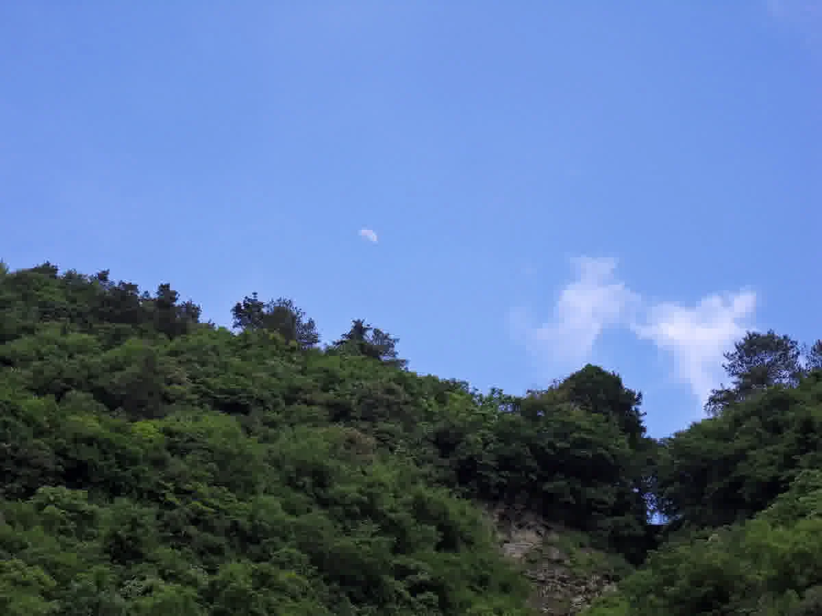 Purple Cloud Palace, the largest and best-preserved Taoist hall on Wudang Mountain