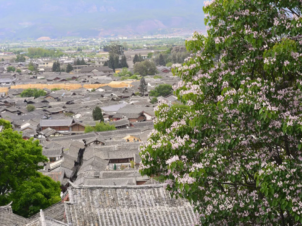 Lijiang Old Town canal with traditional Naxi architecture
