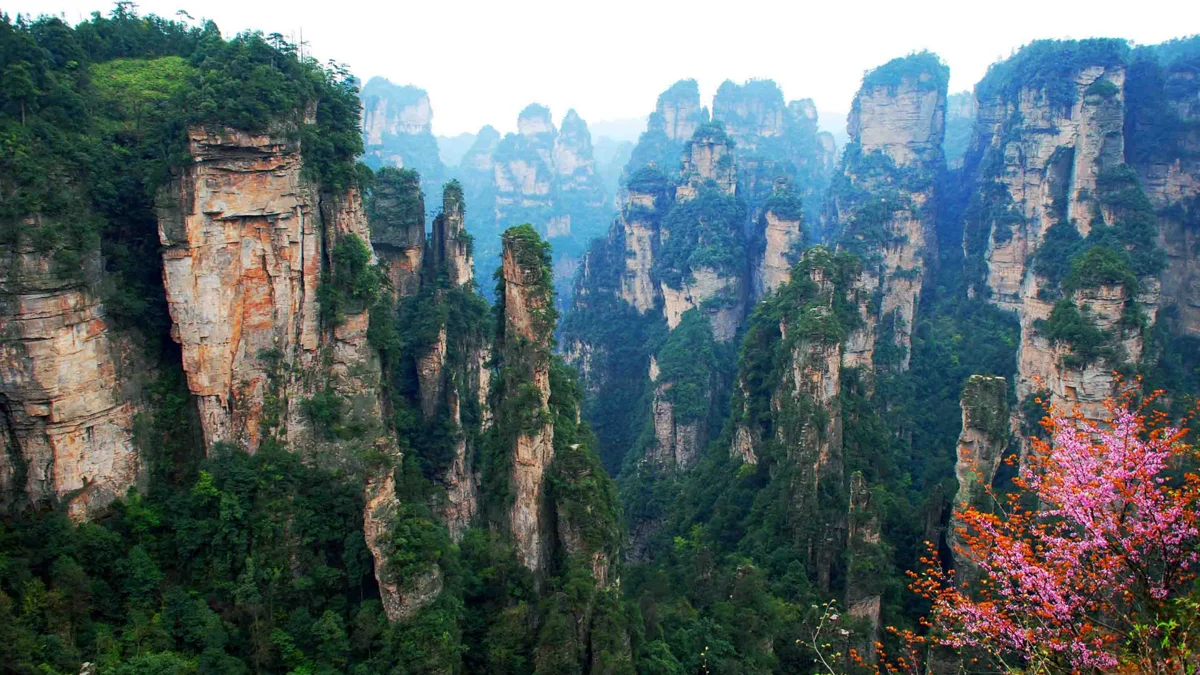Zhangjiajie national park pillar shrouded in mist