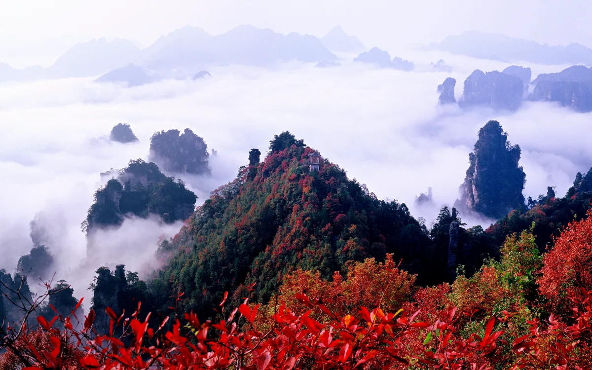 Zhangjiajie National Park 3-Day Itinerary | 'Avatar Mountains in Real Life'