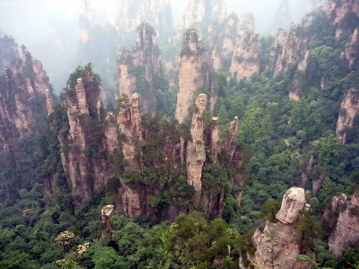 Tianzi Mountain sea of clouds