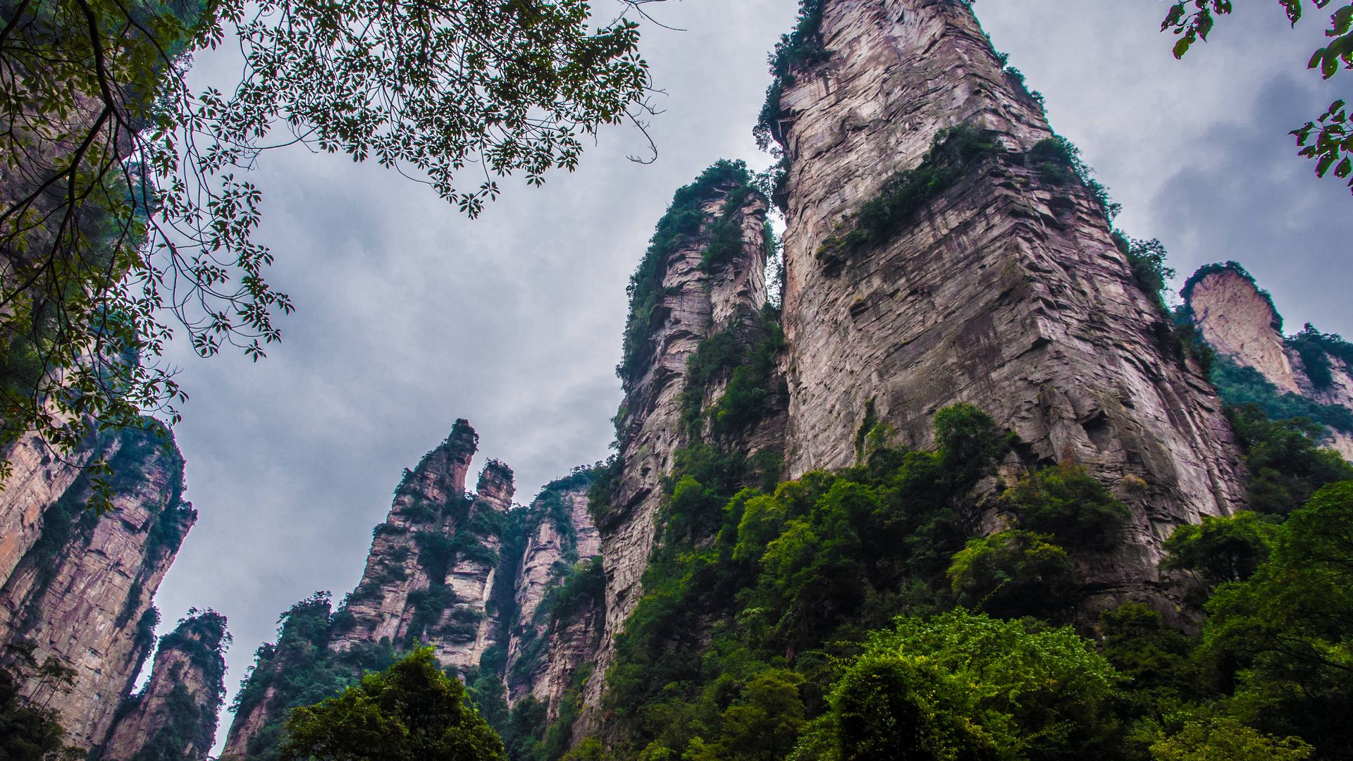 ⛰️ Central China Explorer: Zhangjiajie → Wuhan → Huangshan